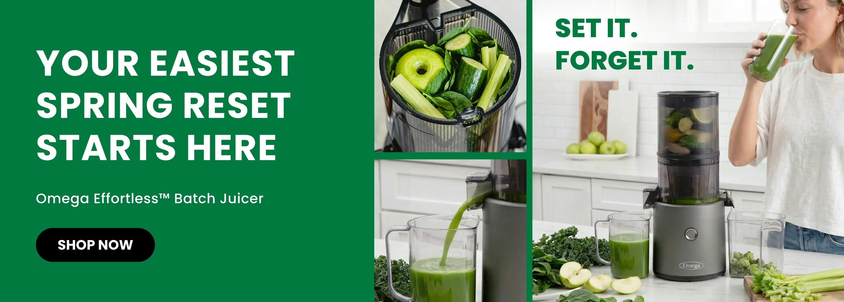 Unlock Maximum Vitality Every Day